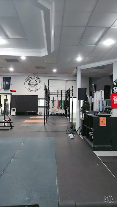 Shadow Pack CrossFit Picture 1