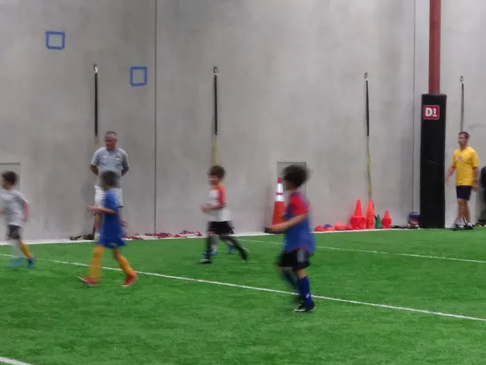 D1 Training Orlando Picture 1