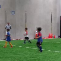 D1 Training Orlando ico