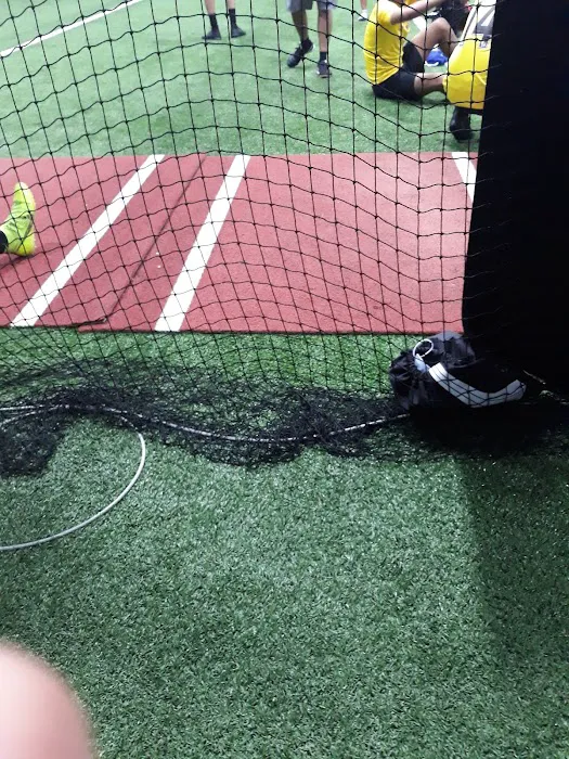 D1 Training Orlando Picture 4