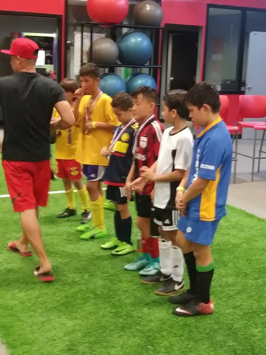 D1 Training Orlando Picture 7