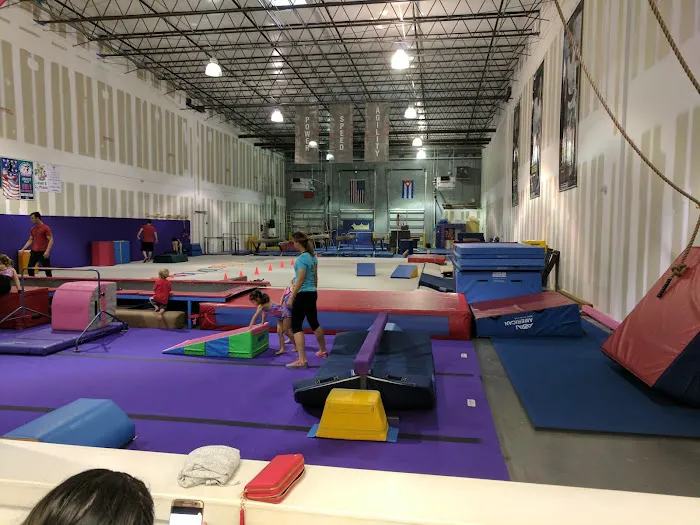 RAD Gymnastics Picture 1