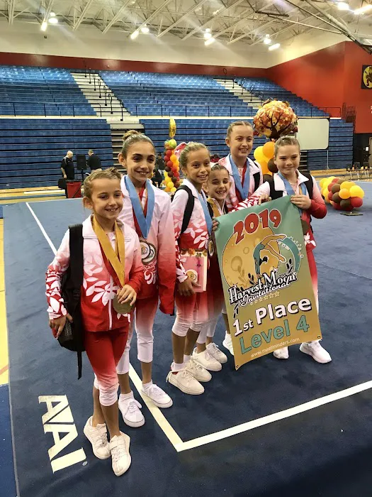 RAD Gymnastics Picture 2