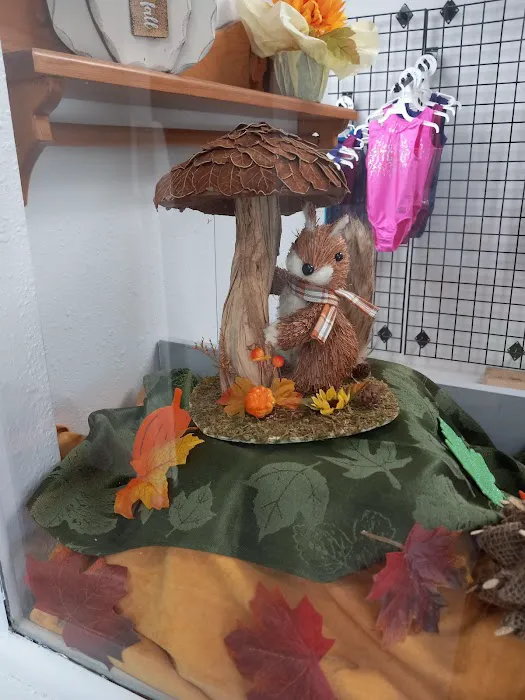 Fit Club Gymnastics, Dance & Cheer Academy Picture 5