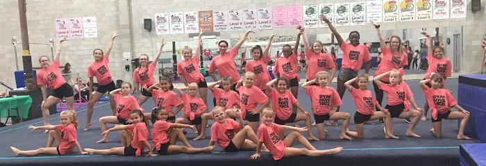 Volusia Academy of Gymnastics & Dance Picture 2