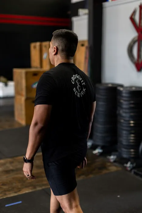 CrossFit Berzerk Picture 2