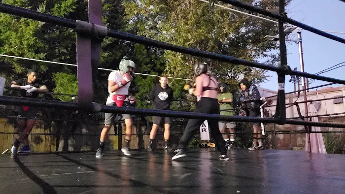 Deland Boxing & Fitness Picture 10