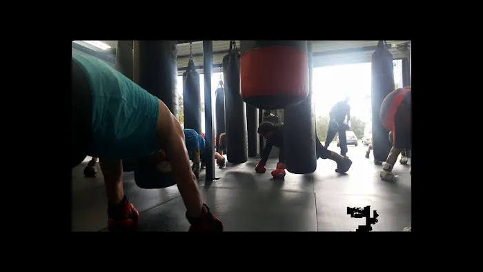 Deland Boxing & Fitness Picture 6