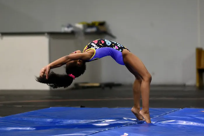 Fire & Ice Athletics Picture 2