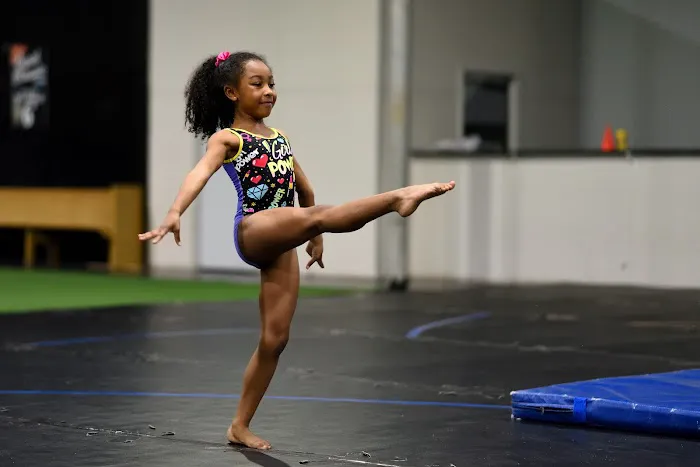 Fire & Ice Athletics Picture 1