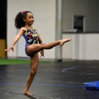 Fire & Ice Athletics ico