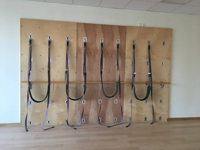 Better Bodies Pilates Picture 8