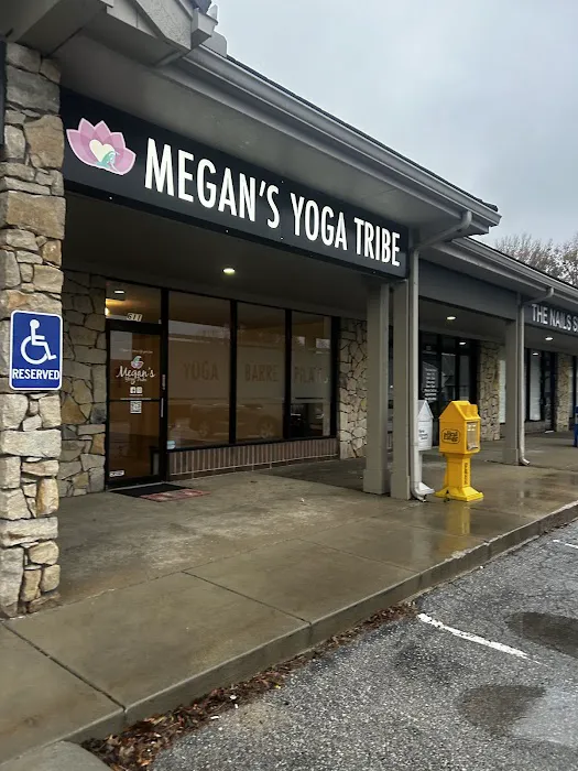 Megan's Yoga Tribe-Lakewood Picture 8