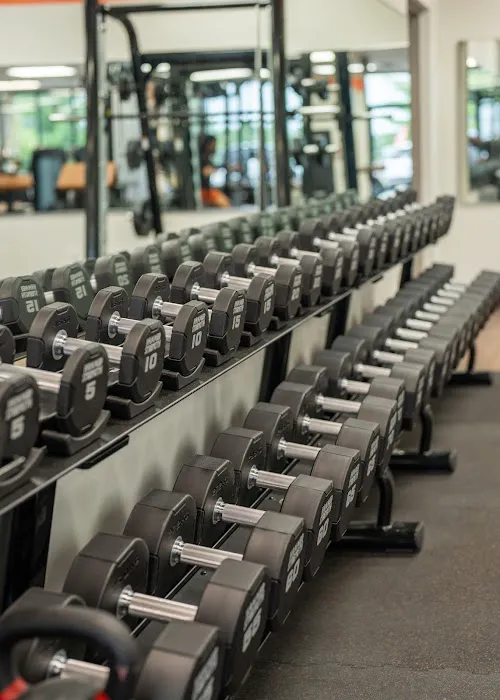 Life Adapted Fitness - Lee's Summit North Picture 2