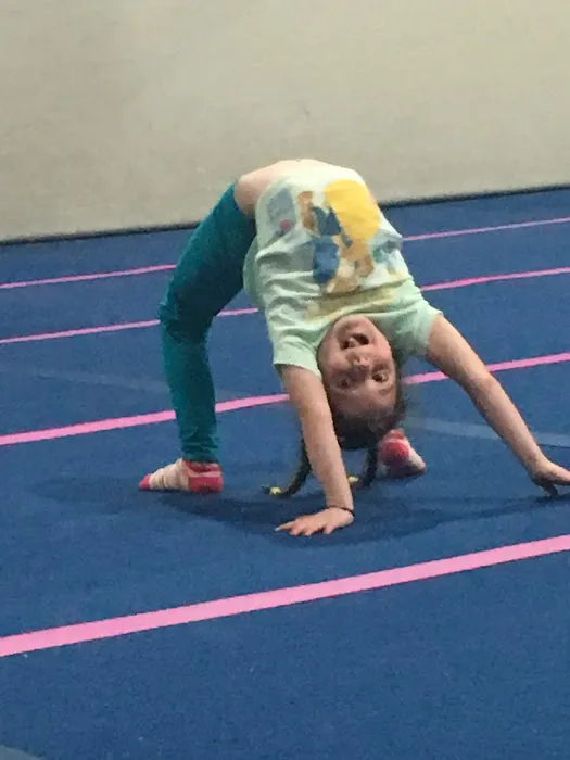 Ronda's Elite Dance*Tumble*Cheer*Acro Center Picture 2