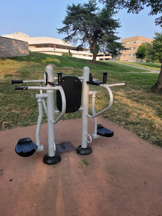 Workout Station Picture 5