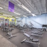 Anytime Fitness ico