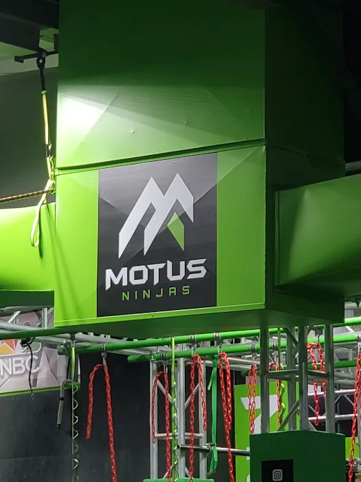 Motus Ninjas Picture 3