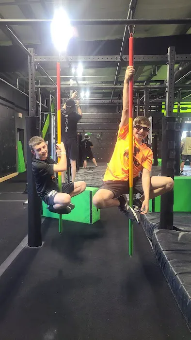 Motus Ninjas Picture 5