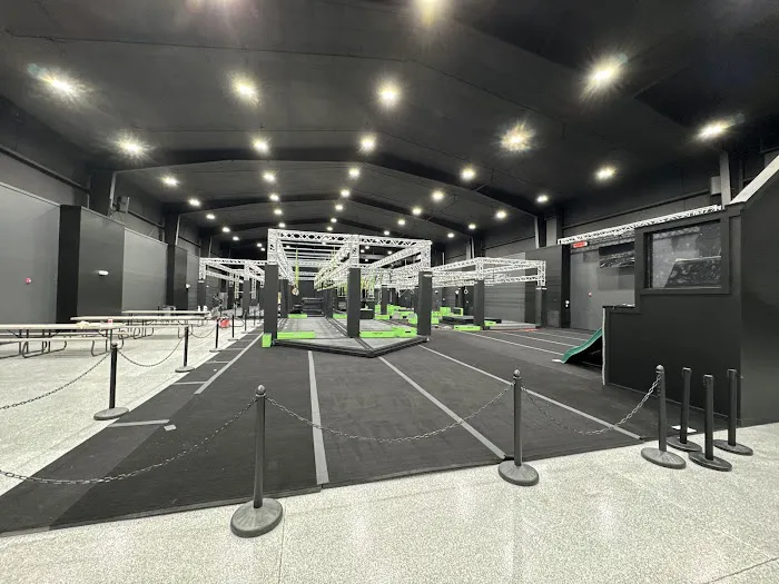 Motus Ninjas Picture 6