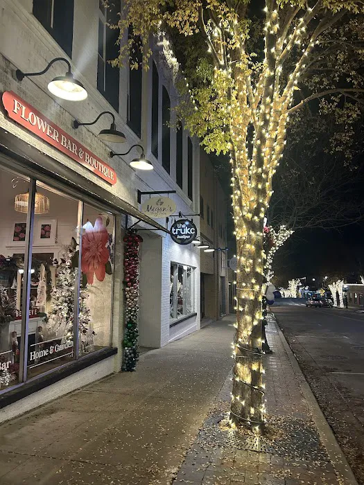 Megan's Yoga Tribe-DTLS Picture 8