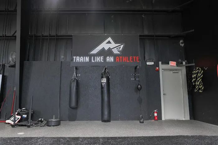 AMP Performance Picture 8