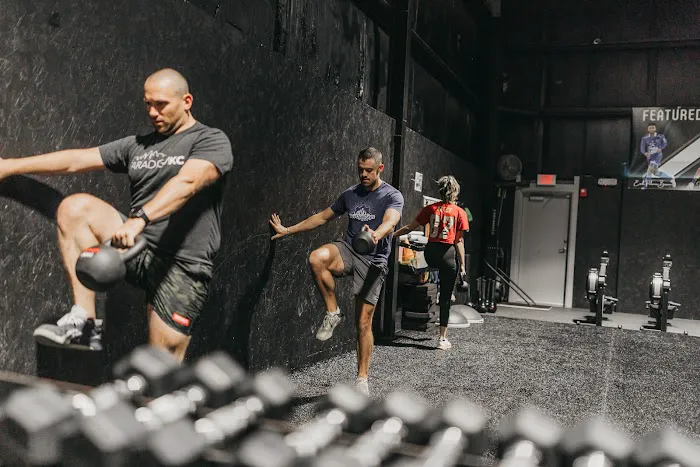 AMP Performance Picture 7