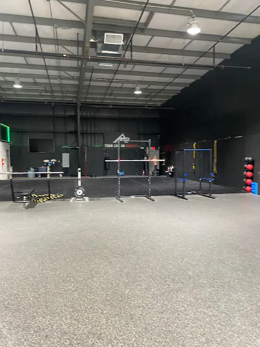 AMP Performance Picture 6