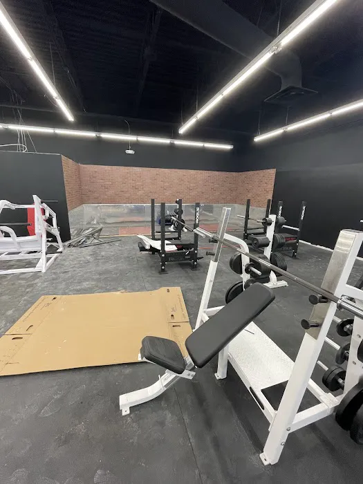 Body Shop Gym- 24hrs Picture 6