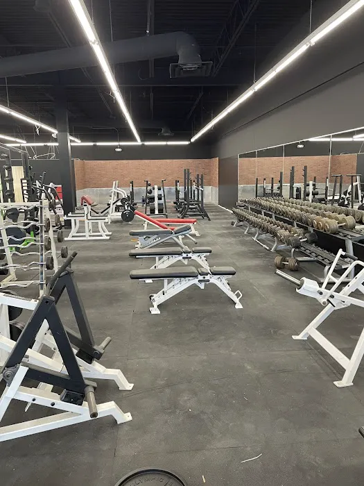 Body Shop Gym- 24hrs Picture 2