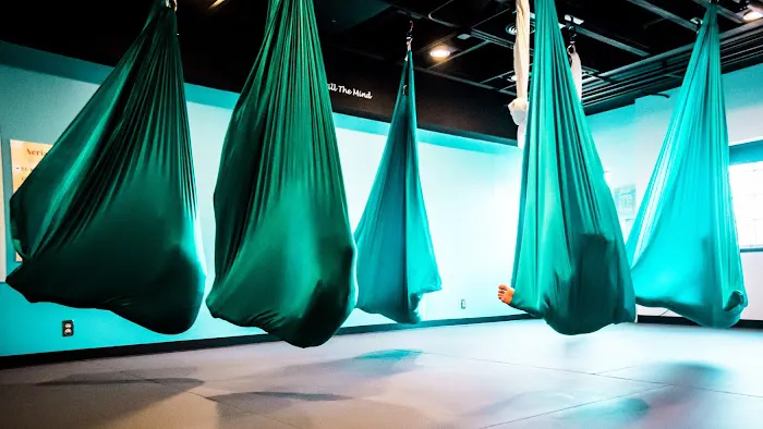 Mindful Child Wellness + Aerial Yoga Picture 3