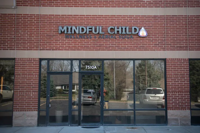 Mindful Child Wellness + Aerial Yoga Picture 5