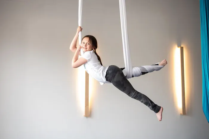 Mindful Child Wellness + Aerial Yoga Picture 6