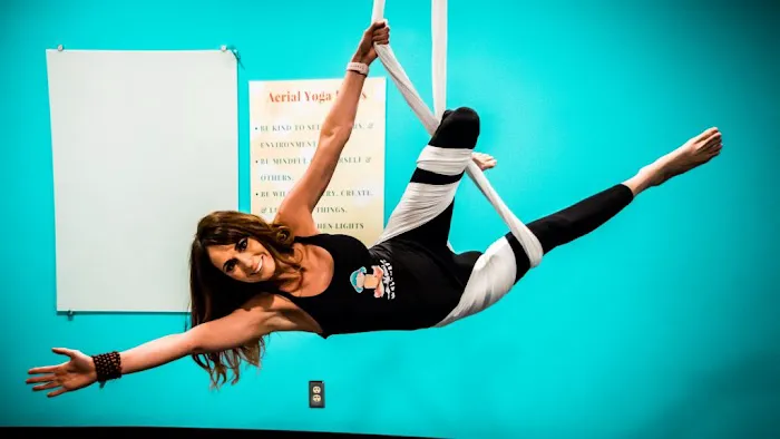 Mindful Child Wellness + Aerial Yoga Picture 7