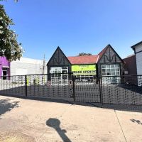 iRISE PERFORMANCE ico