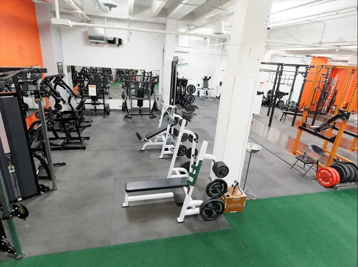 Bodyfit KC Picture 7