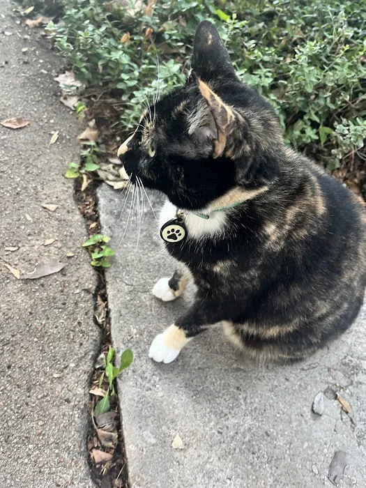 Kundalini Yoga & Meditation Picture 7