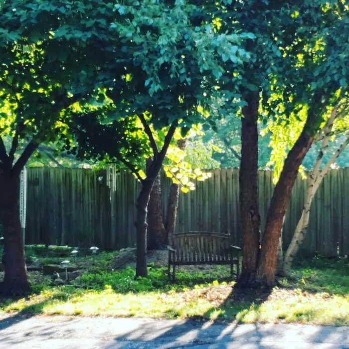 Kundalini Yoga & Meditation Picture 3