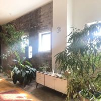 Inner Space Yoga ico