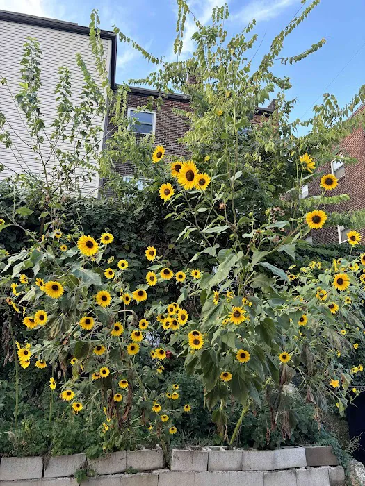 Inner Space Yoga Picture 8