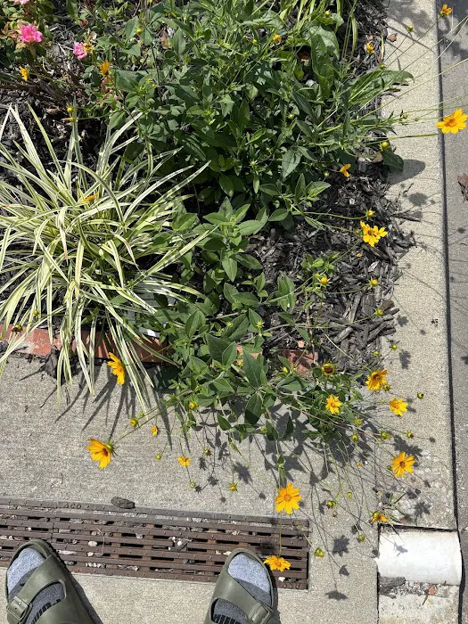 Inner Space Yoga Picture 9