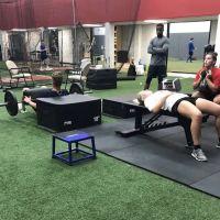 Top Flight Performance ico