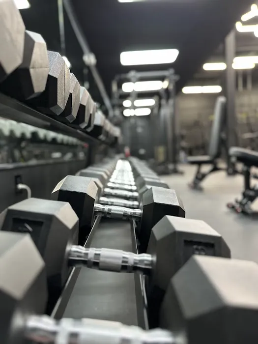 FIT HOUSE 24HR Picture 8