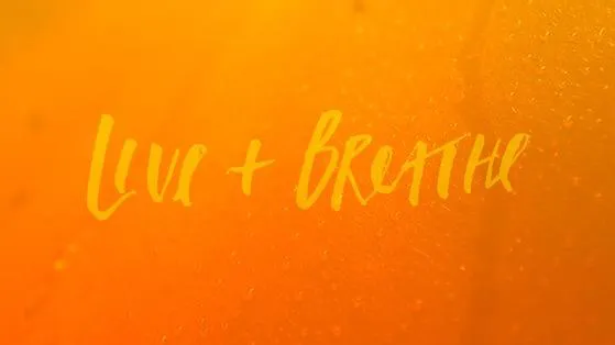 Power Life Yoga Barre Fitness - Town Center Picture 3