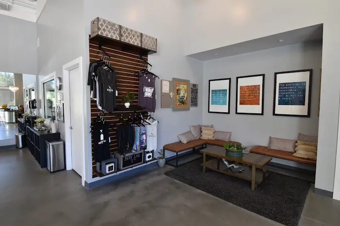 The Body Lab - A Lagree Fitness Studio · Yoga · Barre · Mat pilates · Total body burn · Red light therapy saunas Picture 8