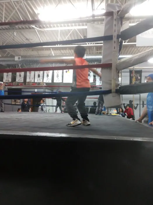 Leo Moreno Jr. Boxing Club Picture 7
