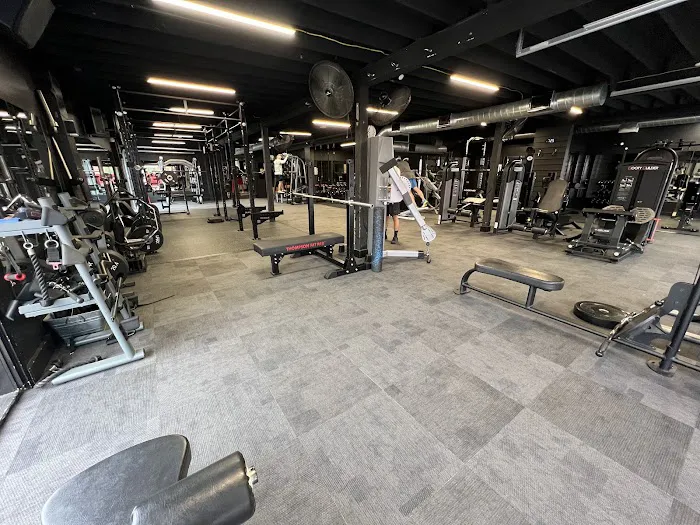 Prolific Health and Fitness Picture 4