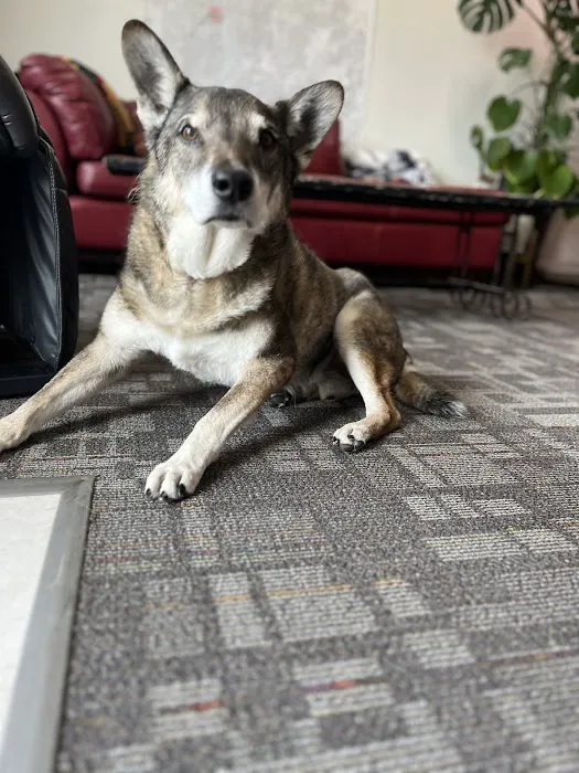 Mission Barbell Club Picture 2