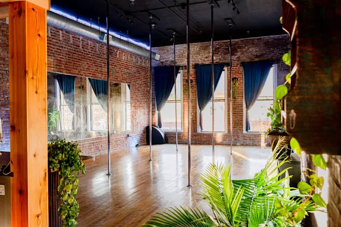 Alchemy Space Pole and Fitness Picture 4