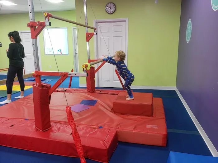 The Little Gym of Kansas City Prairie Village Picture 5